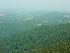 View from Olson Lookout Tower